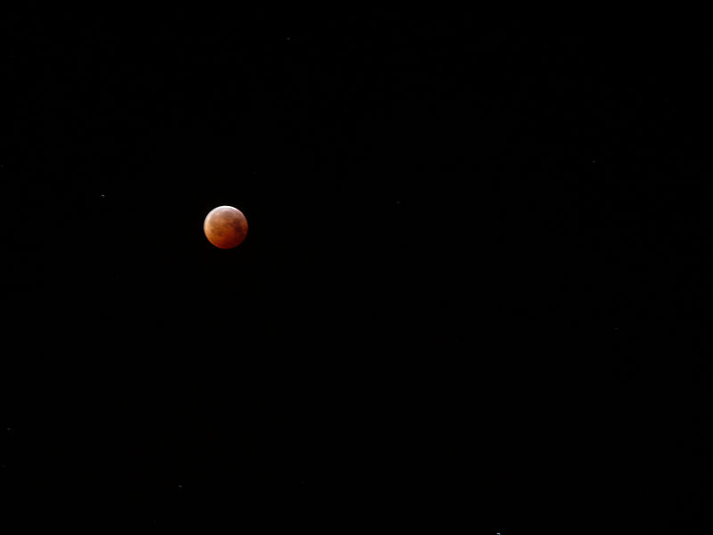 File:Lunareclipse dec21.jpg