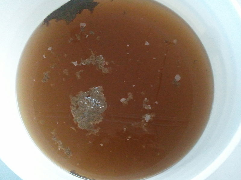 File:Kombucha 12092010 2.jpg