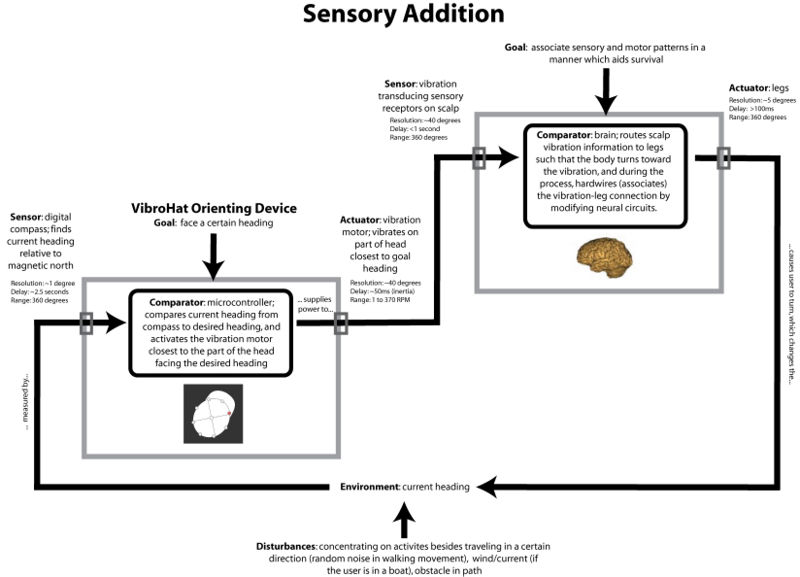 File:Sensory Addition (1.5 order).jpg