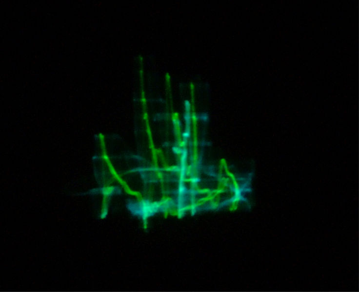 File:Hololglyphic Green fire2.jpg